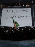 2019 04 25 (23).JPG
