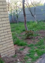 Без имени-1.jpg