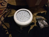 IMG_20190327_200301.jpg
