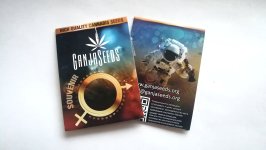 ganjaseeds.jpg