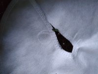 IMG_20190423_053102.jpg
