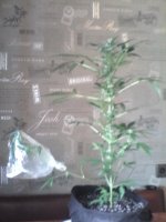 IMG_20190508_100023.jpg