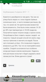 Screenshot_20190510-170951_Chrome.jpg