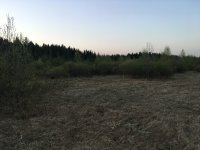 IMG_4775.JPG
