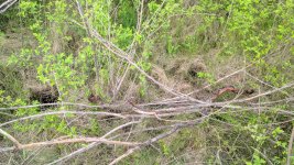 IMG_20190514_180940.jpg