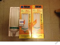 esl-lamp-250vt-potrebleniya-1250vt-otdacha-2700k-spektor-1-5333068.jpg