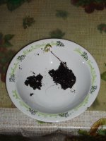 2018 11 09 (37).jpg