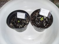 2019 05 12 (70).jpg