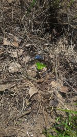 20190517_130655.jpg