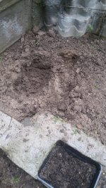 IMG-20190515-WA0035.jpg