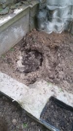 IMG-20190515-WA0037.jpg