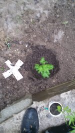 IMG-20190515-WA0023.jpg