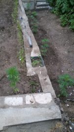 IMG-20190522-WA0008.jpg