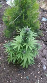 IMG-20190522-WA0010.jpg