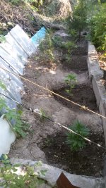 IMG-20190515-WA0006.jpg