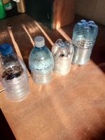 IMG_20190522_184205.jpg
