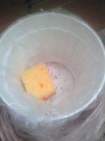 IMG_20190524_193943.jpg