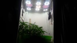 20190524_221721.jpg