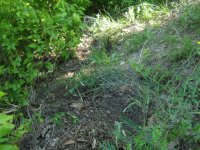 IMG_1318.JPG IMG_1318.JPG