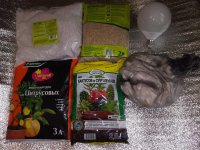 IMG_20190527_142439.jpg