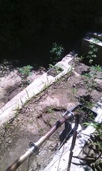 IMG_20190528_133608.jpg