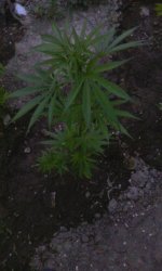 IMG_20190528_202012.jpg