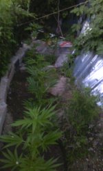 IMG_20190528_201632.jpg