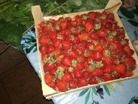 IMG_20190529_203626.jpg