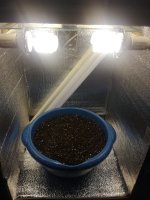 IMG_20190530_123604.jpg