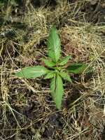 photo_2019-06-01_21-52-12 (2).jpg