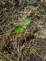 photo_2019-06-01_21-52-15 (2).jpg