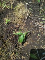 photo_2019-06-01_21-52-16 (3).jpg