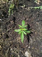 photo_2019-06-01_21-52-16 (5).jpg