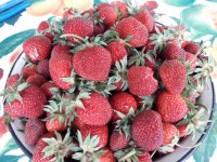 20190601_145828.jpg