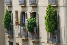 cannabis-legal-cultivation-spain-min.jpg