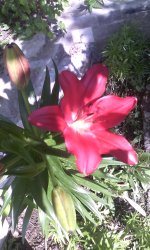 IMG_20190605_161823.jpg