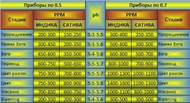 таблица кормления ппм.jpg