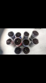 Screenshot_2019-06-09-08-49-19-238.jpeg