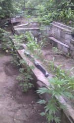 IMG_20190610_162713.jpg