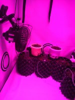 IMG_20190611_103828.jpg