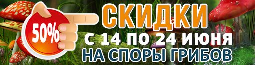 Банер Скидки 50 грибы  510х130.jpg