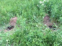 photo_2019-06-16_23-55-56.jpg photo_2019-06-16_23-55-56.jpg