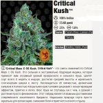 Cri Kush.jpg