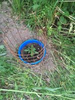 photo_2019-06-17_20-55-36.jpg photo_2019-06-17_20-55-36.jpg