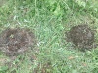 IMG_20190619_205242.jpg