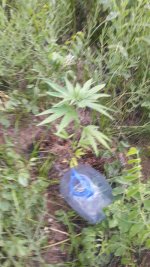 20190619_204458.jpg
