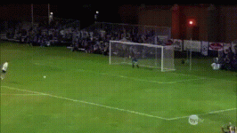 vratar.gif