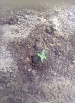 IMG_20170101_144529.jpg
