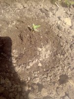 IMG_20170101_144728.jpg