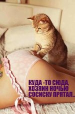 6a25d36_800.jpg